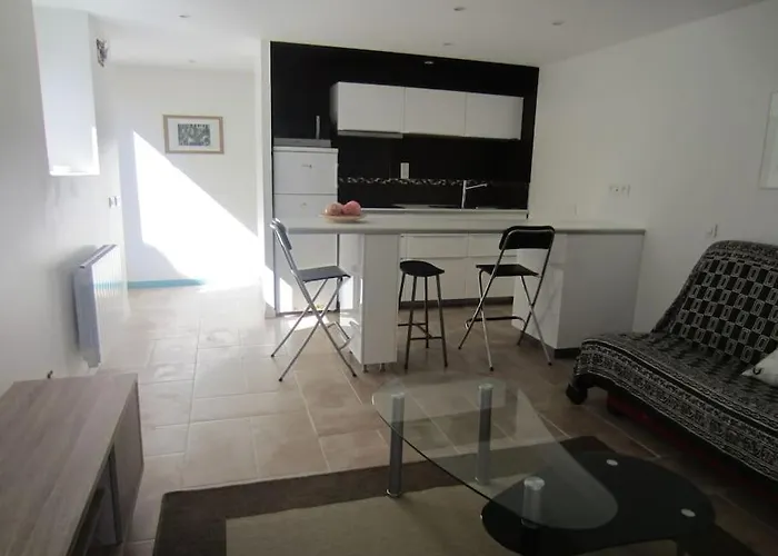 Jolie T2 Renove Avec Jardin Clos Et Parking Prive דירה *